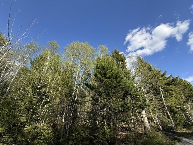 Property Photo:  Lot 13 Pidgeon Point Road  ME 04691 