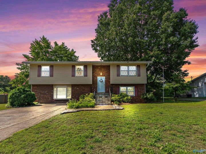 Property Photo:  222 Lakewood Drive  AL 35769 