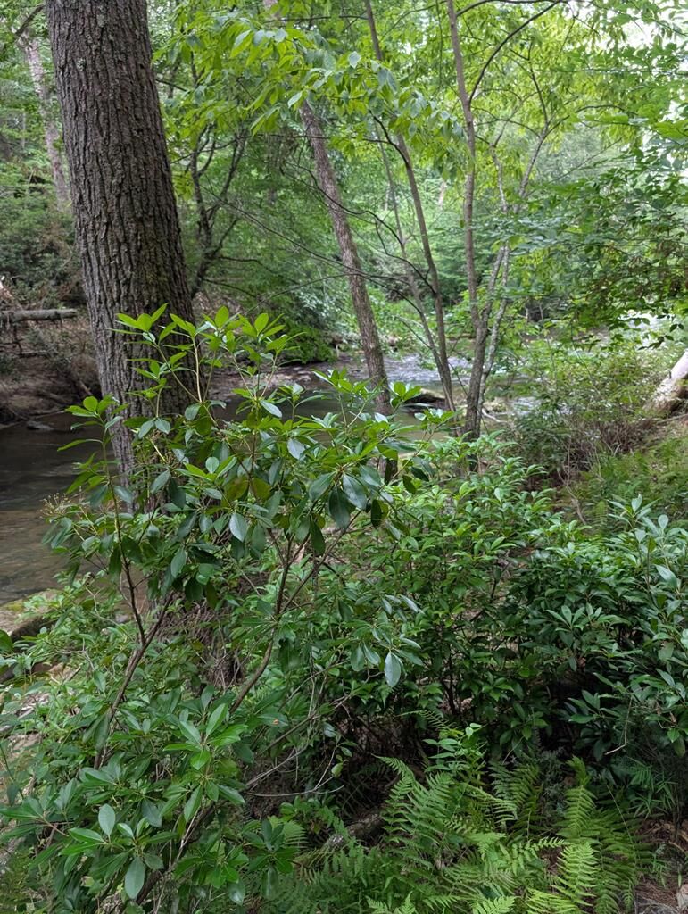 Property Photo: Lot 32 Byers Road GA 30512