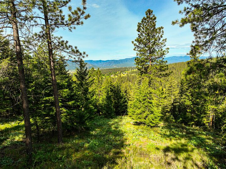 Property Photo:  Nhn Nighthawk Drive  MT 59834 
