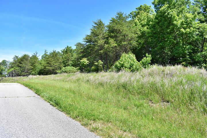 Property Photo: 0 Flint Ridge Road TN 37854