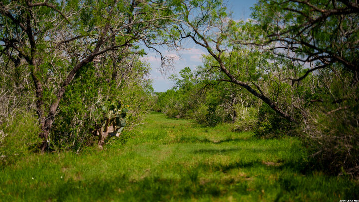 Property Photo: 422 F.m. 791 TX 78008