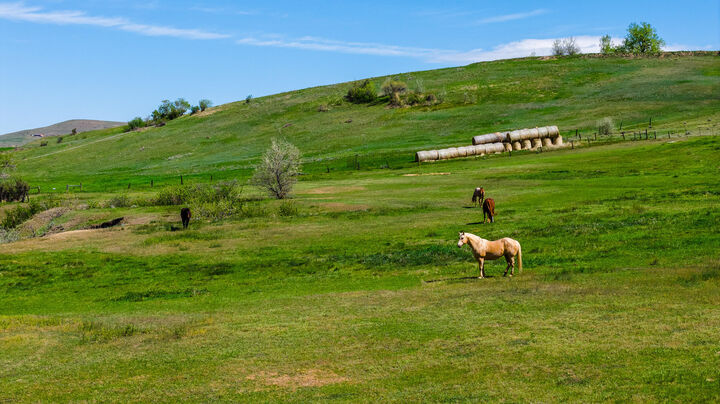 Property Photo:  