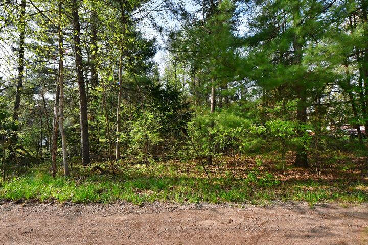 Property Photo:  9340 Diamond Drive  MI 48656 