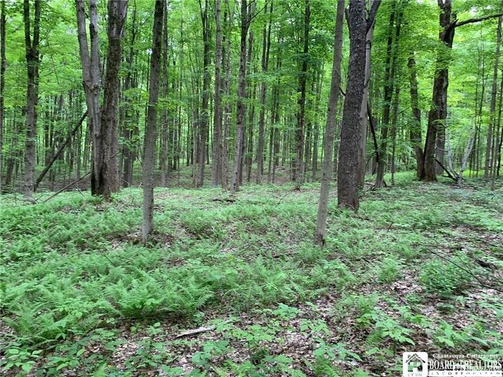 Property Photo:  905 Waterman Road  NY 14747 