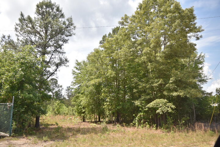 Property Photo: Tbd Hawthorne Drive SC 29556