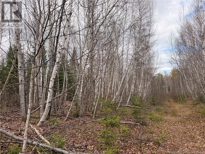 Property Photo:  Lots McLaughlin Road  NB E4W 3S6 