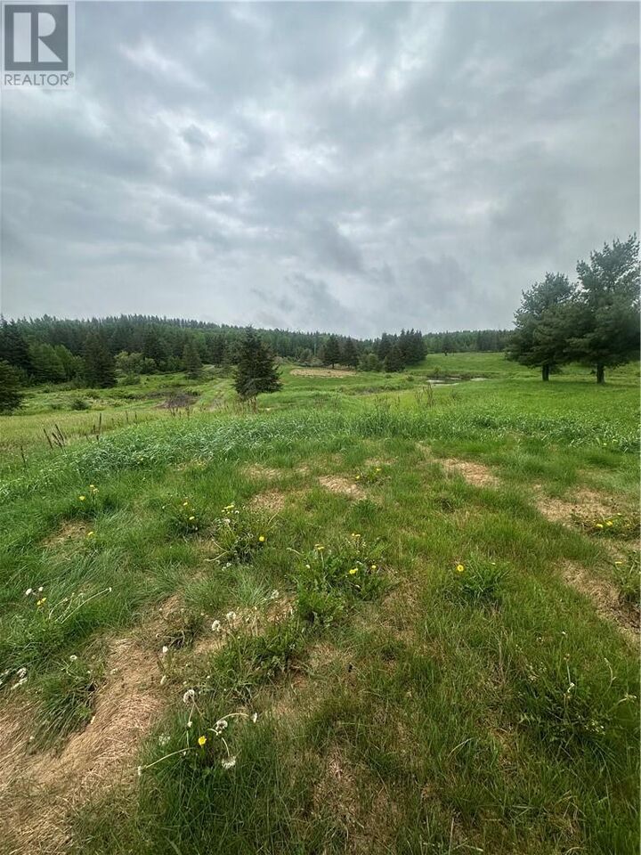Property Photo:  257 Ratter Lake Road  ON P0M 2G0 