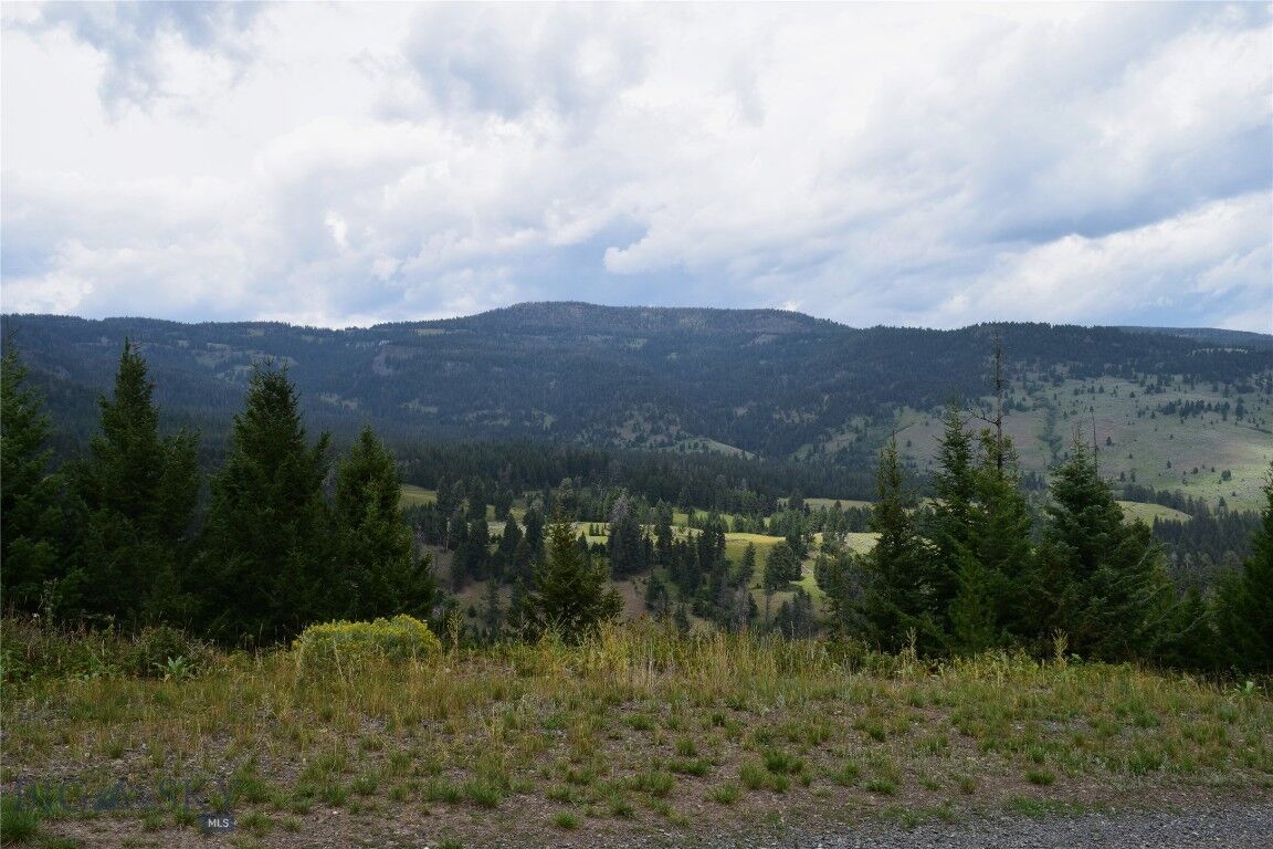 Property Photo: Tbd Packsaddle MT 59027