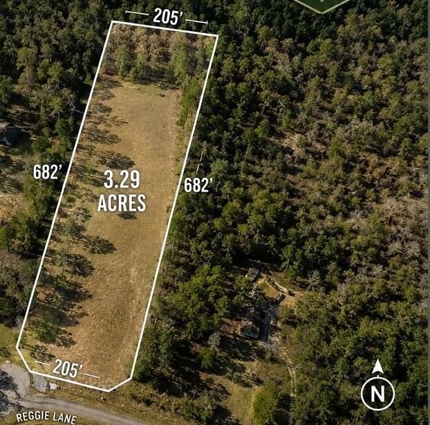 Property Photo:  278 Reggie Lane  TX 75862 