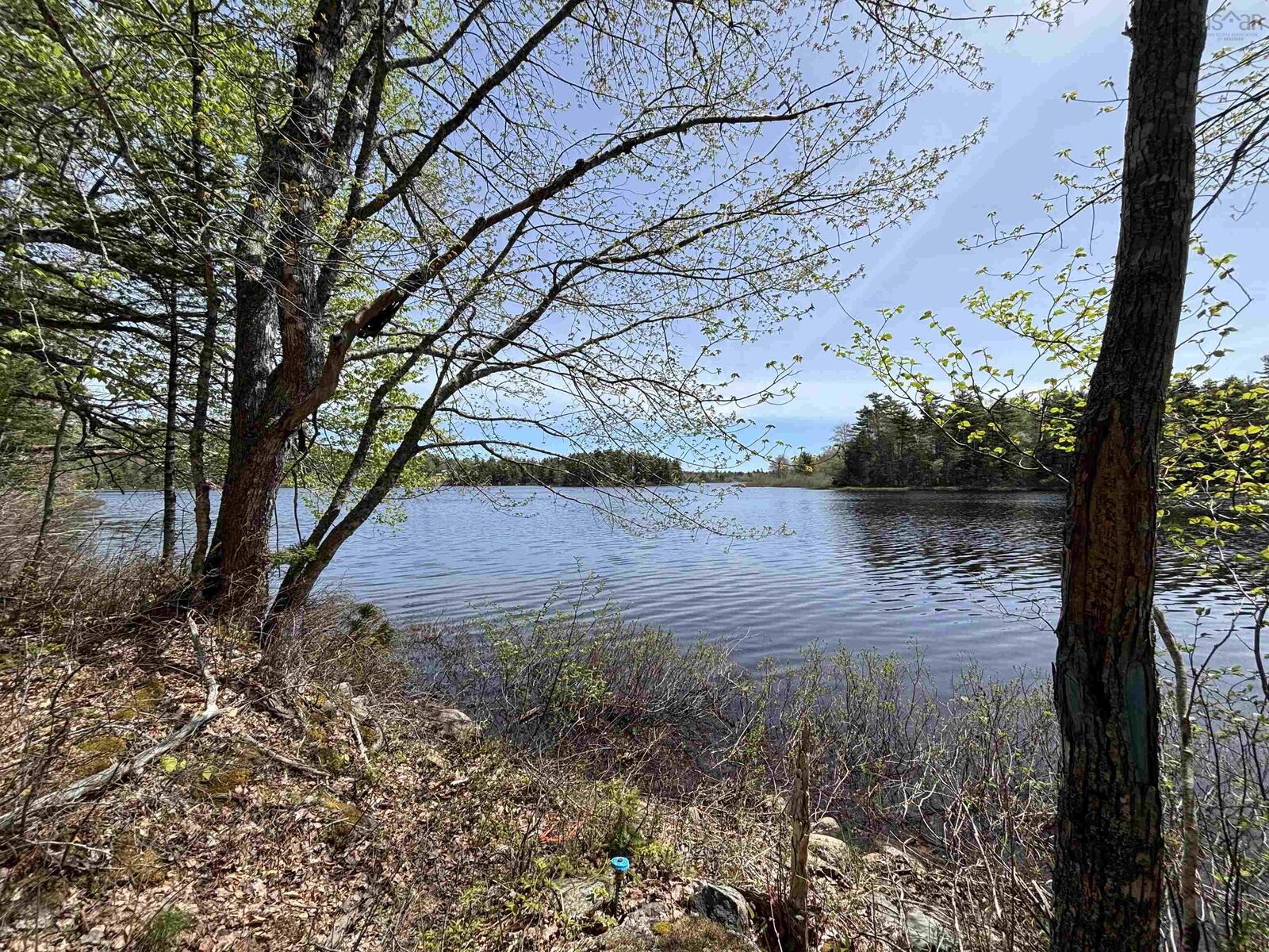 Property Photo:  Lot 7-23 Highway 325  NS B4V 8H3 