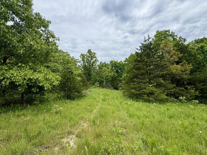 Property Photo: 000 Cottengim Road MO 65702
