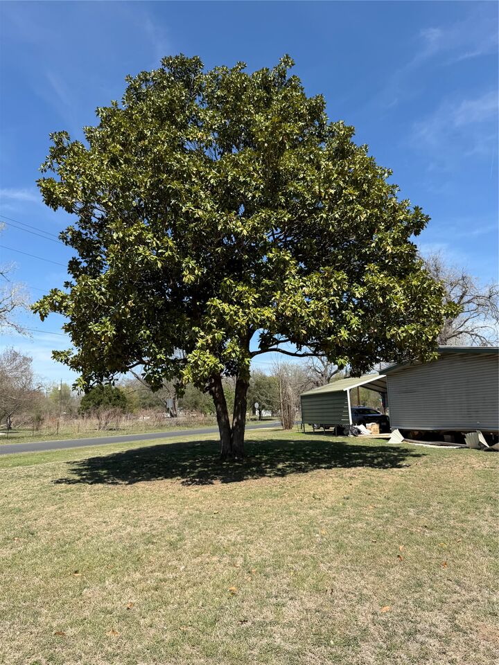 Property Photo:  1603 Man O War Drive  TX 78617 