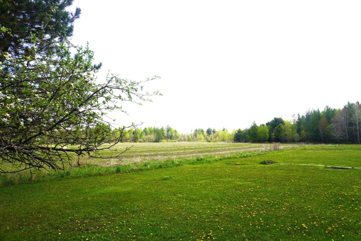 Property Photo: 20 Acres Bradley St WI 54435