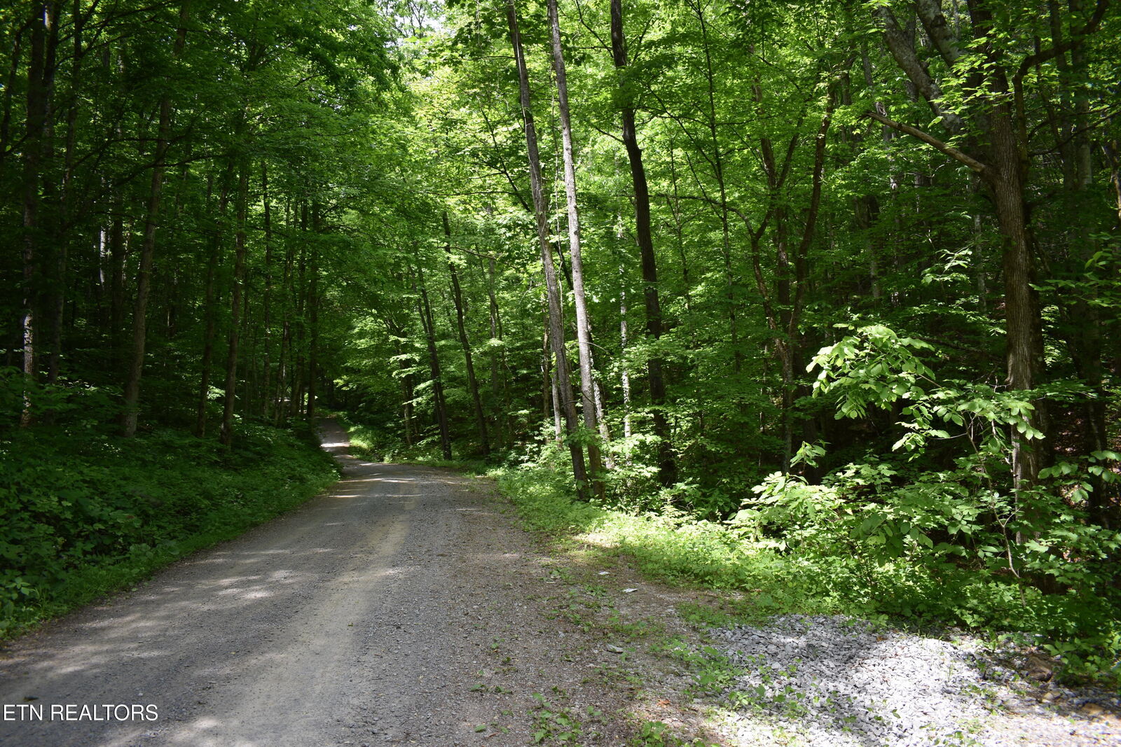 Property Photo: Shady Valley Rd VA 24248