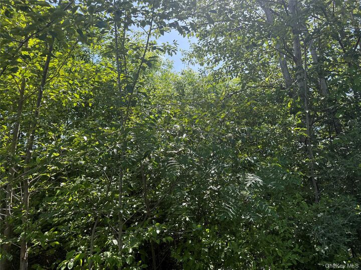 Property Photo:  Tbd Hawleys Corners  NY 12528 