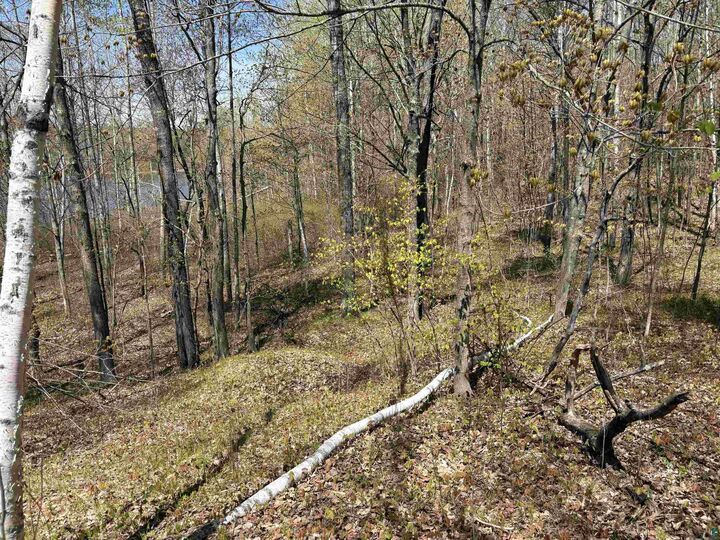 Property Photo:  854X W Chub Lake Rd  MN 55718 