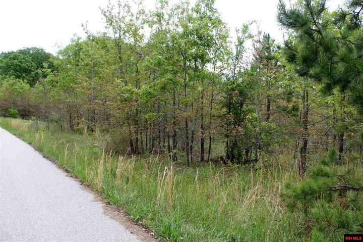 Property Photo: Lot 25 Farmer Circle AR 72653