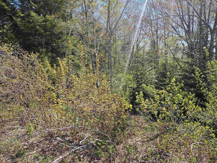 Property Photo: 720 Lucasville Road NS B4B 1R9