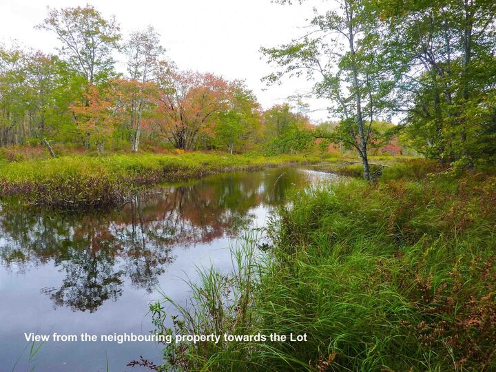 Property Photo:  Lot 19L, Pine Prince Drive  NS B0W 2Y0 