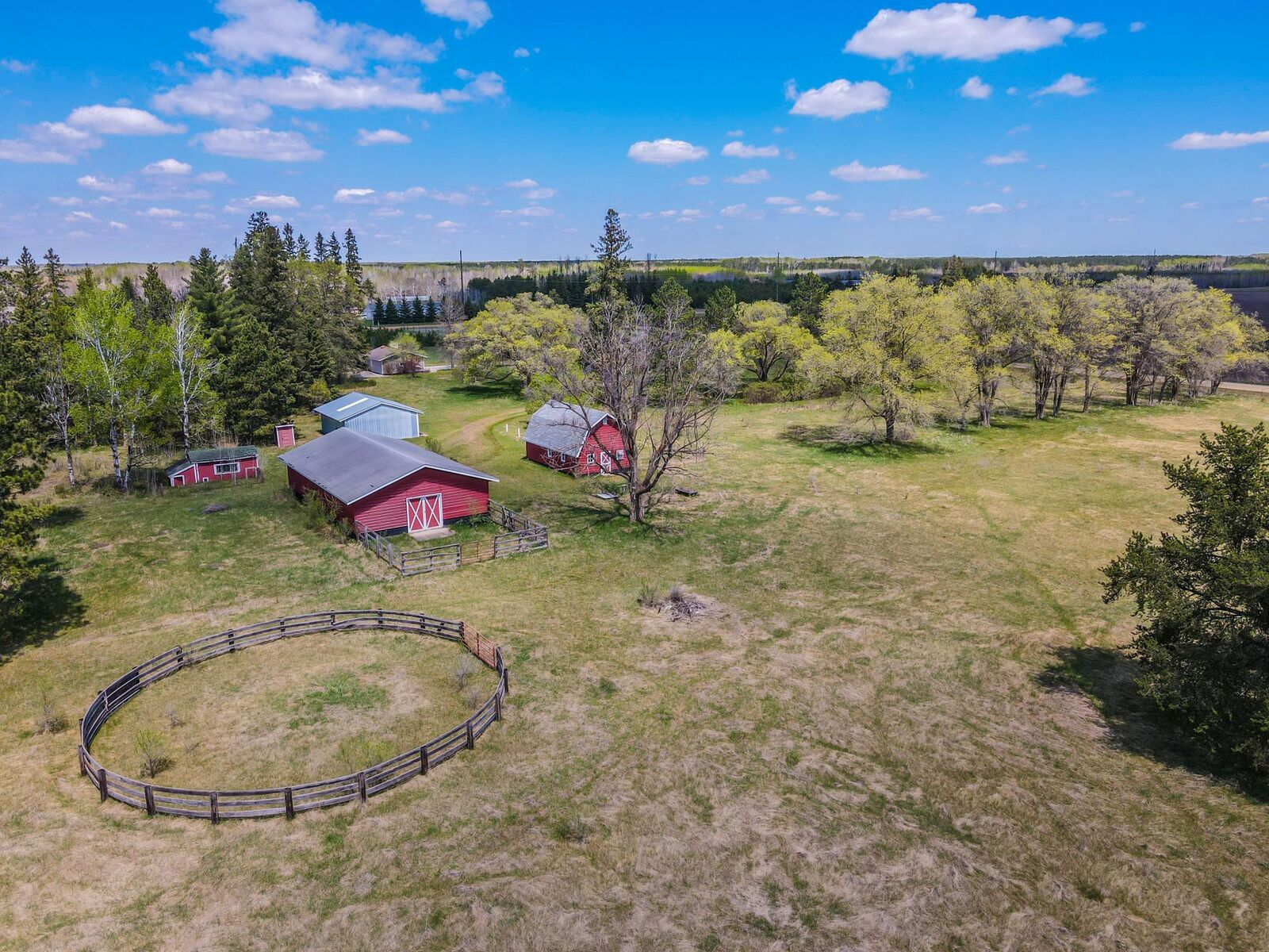 Property Photo:  10877 110th Street  MN 56464 
