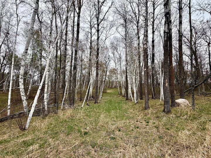 Property Photo:  L18b1 Acorn Ridge Road NW  MN 56601 