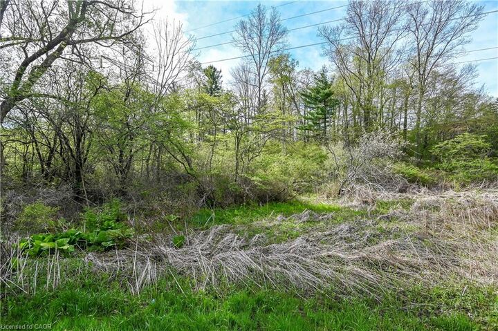 0 Mineral Springs Road — photo 1