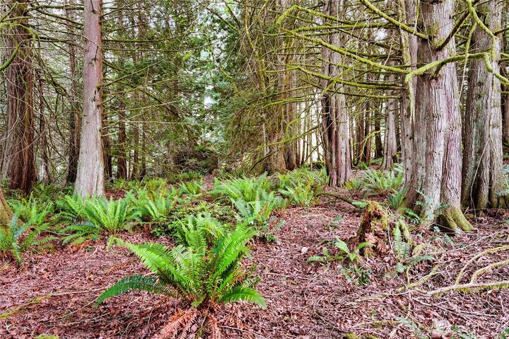 Property Photo: 0 Rainier Lane WA 98365