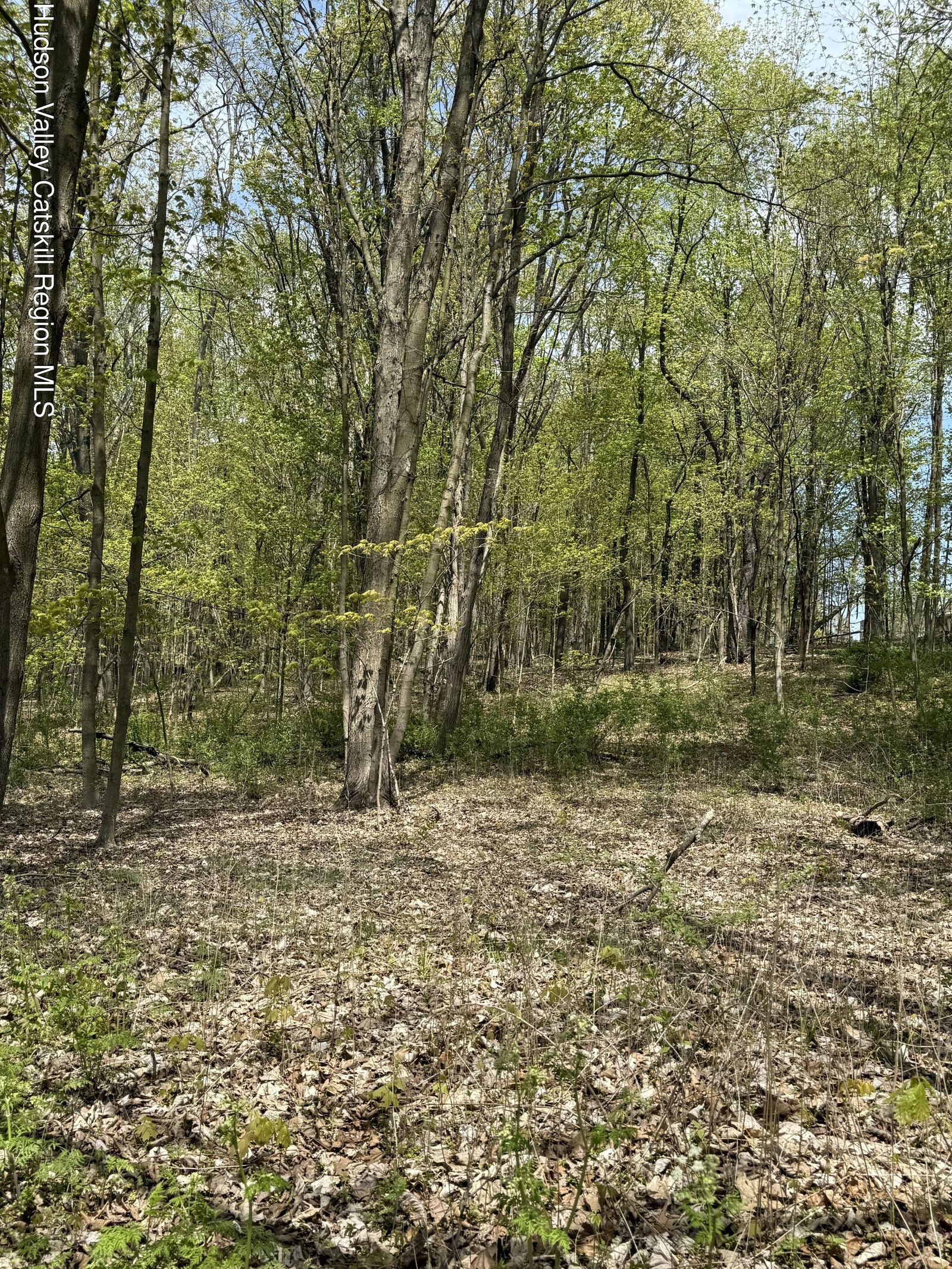 Property Photo:  120 Floyd Ackert  NY 12493 