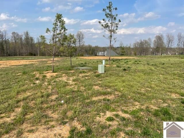 Property Photo: 215 Falling Brook Dr KY 42003