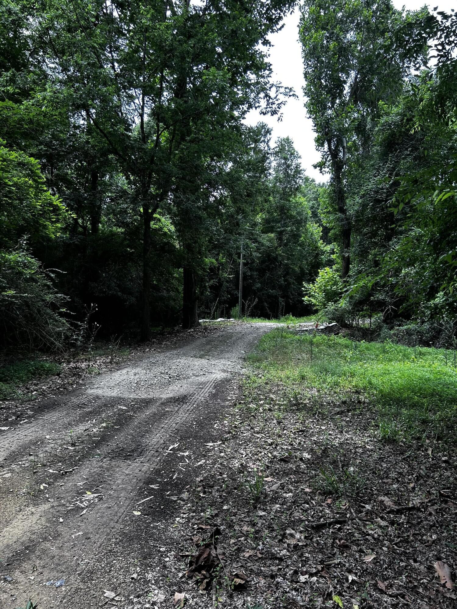 Property Photo: 0 Varner Ridge Lane SC 29472
