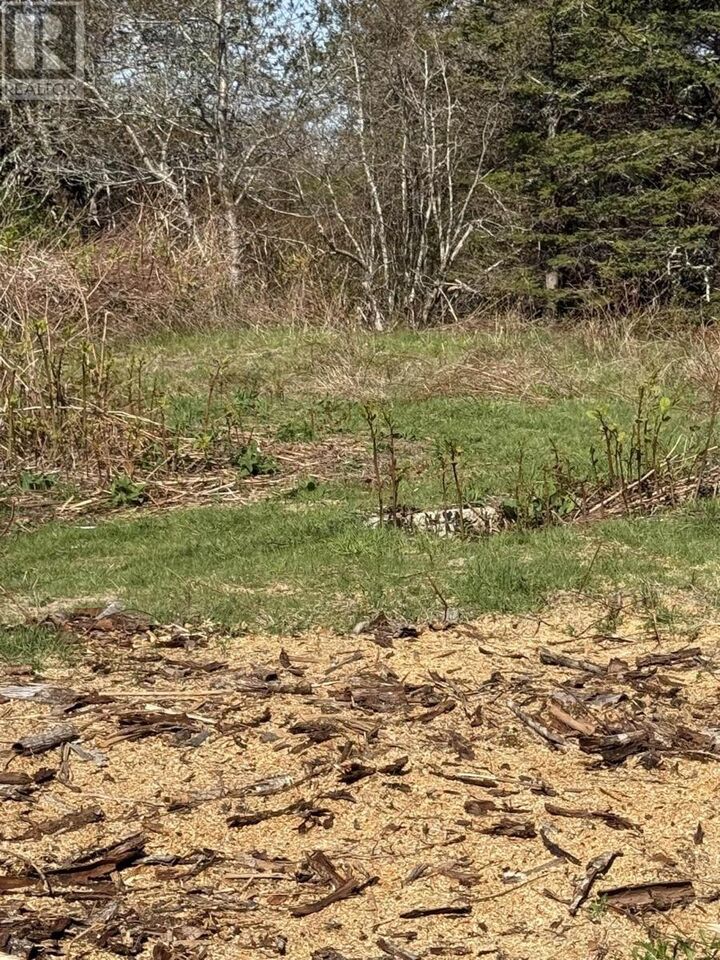 Property Photo:  146 Rocco Point Road  NS B0W 2X0 