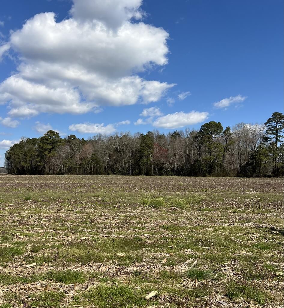 Property Photo: Lot 5 Temperanceville Rd VA 23442