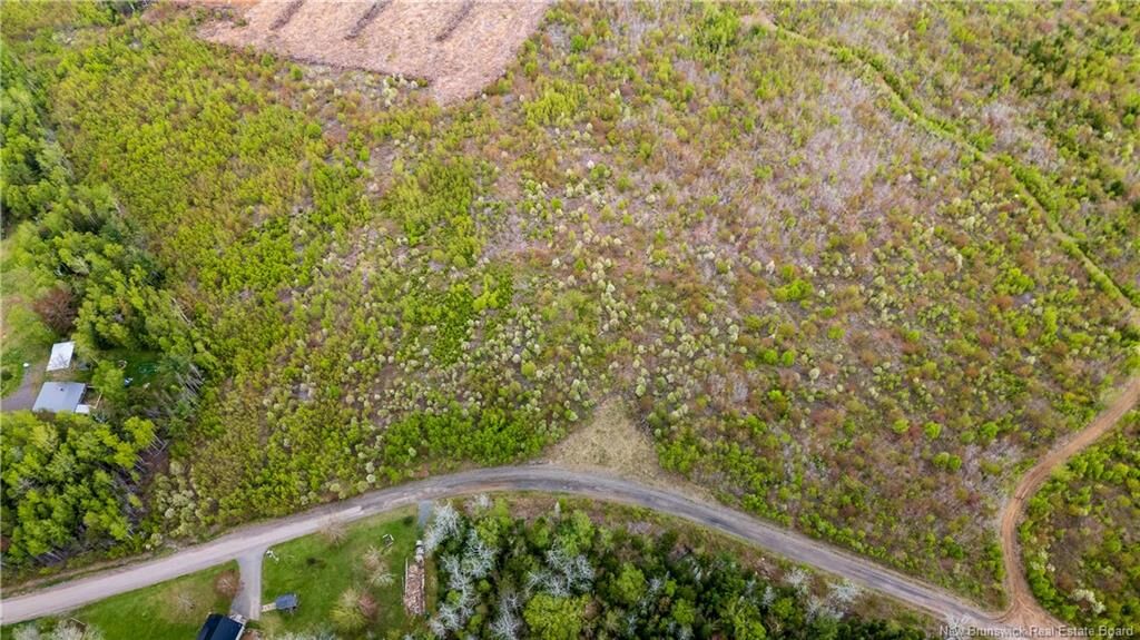Property Photo:  Lot 39 Davidson Road  NB E4Z 1E1 