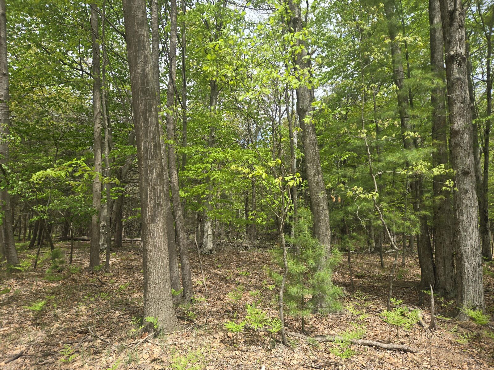 Property Photo:  Vl N Ridge Road  MI 49436 