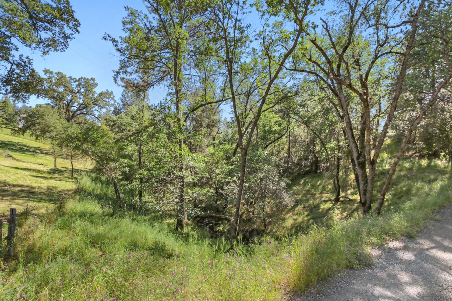 Property Photo: 0 Hoot Owl Ravine Road CA 95667