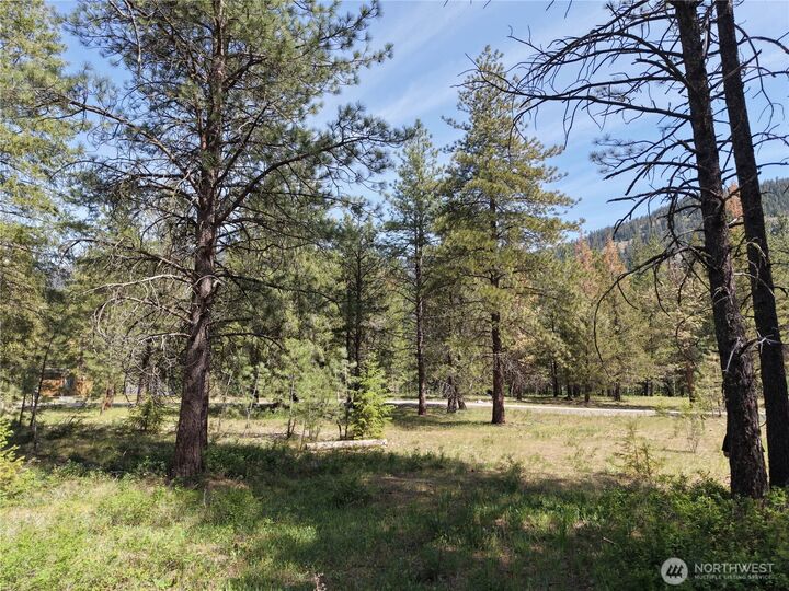 Property Photo:  4  Mazama Meadows Lane  WA 98833 