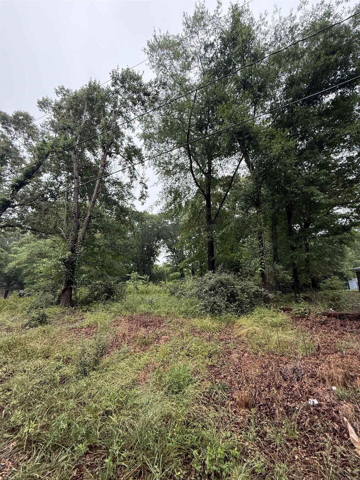 Property Photo: Merle Drive *** SC 29307
