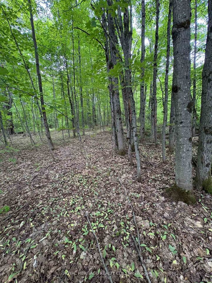 Property Photo:  1043 Lawrence Pit Road  ON P0B 1M0 