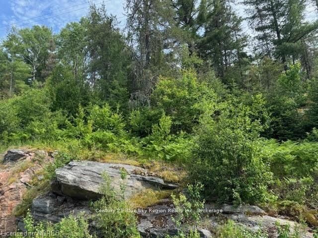 Property Photo:  Pt Lt 5 Con 5 Highway 575 N/A  ON P0H 1M0 