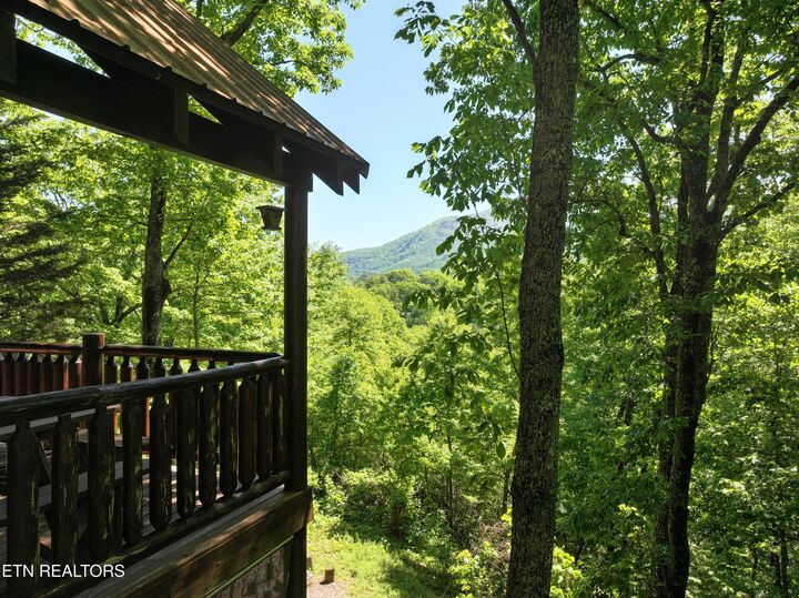 Property Photo:  3979 Denton Court  TN 37862 