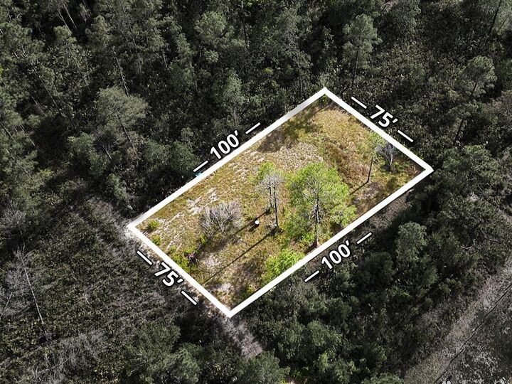 Property Photo:  56309 Virginia Street  FL 32767 