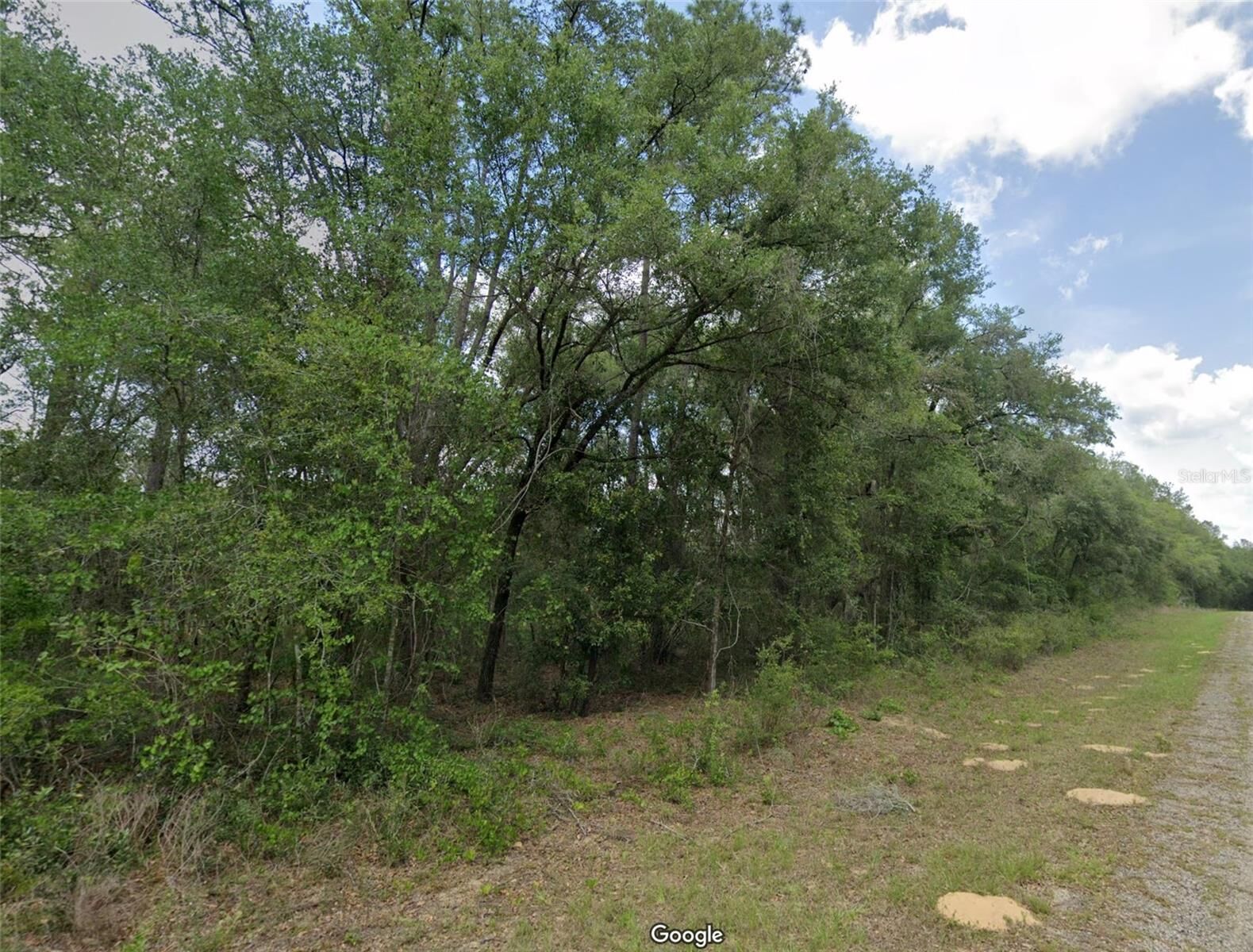Property Photo:  737 E Byrd Loop  FL 34434 