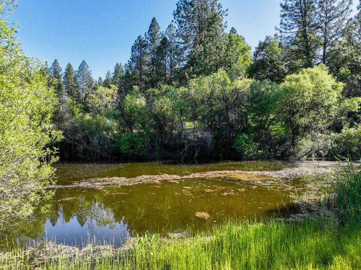 Property Photo:  13194 Kentucky Flat Road  CA 95959 