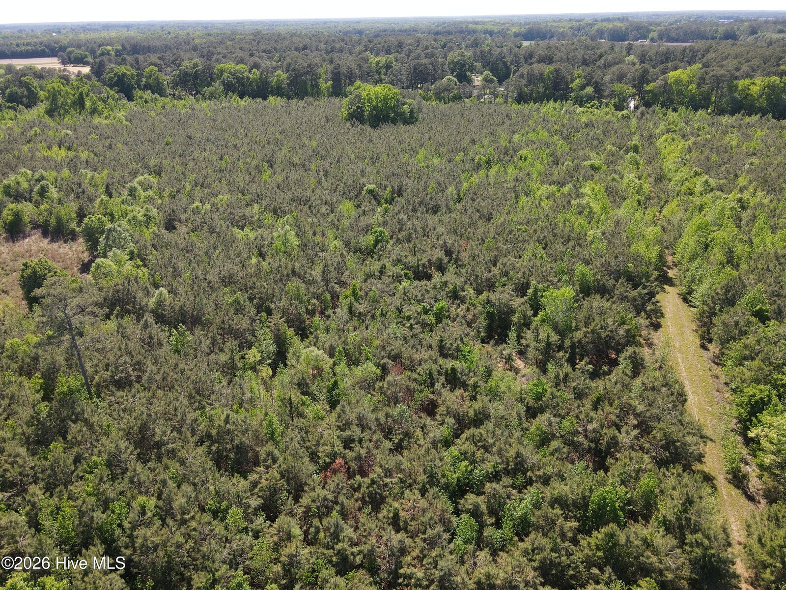 Property Photo:  0 Colice Hall Lane  NC 27910 
