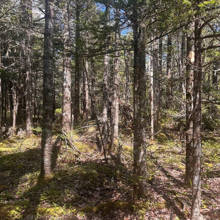 Lot 16 Somerset Drive — photo 1