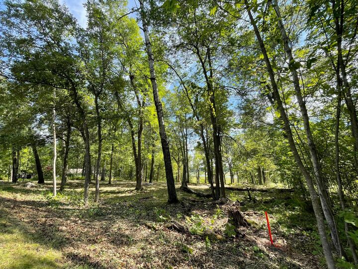 Property Photo:  Tbd Wedgewood Road NW  MN 56484 