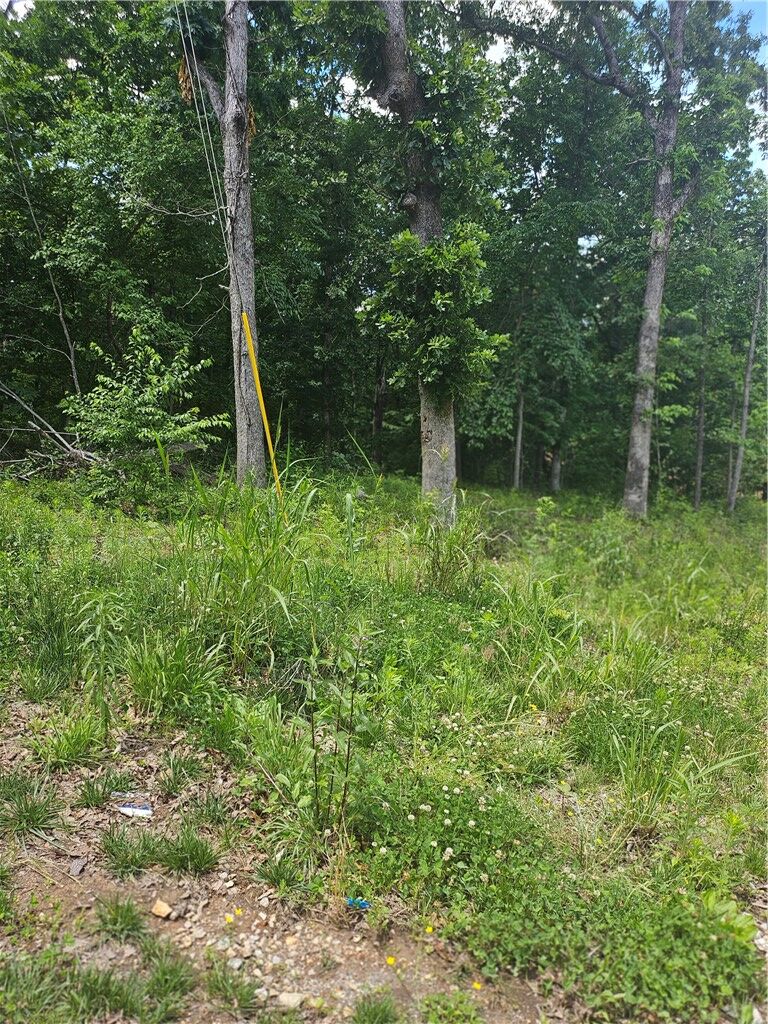 Property Photo:  Lot 13 Moniave Lane  AR 72715 