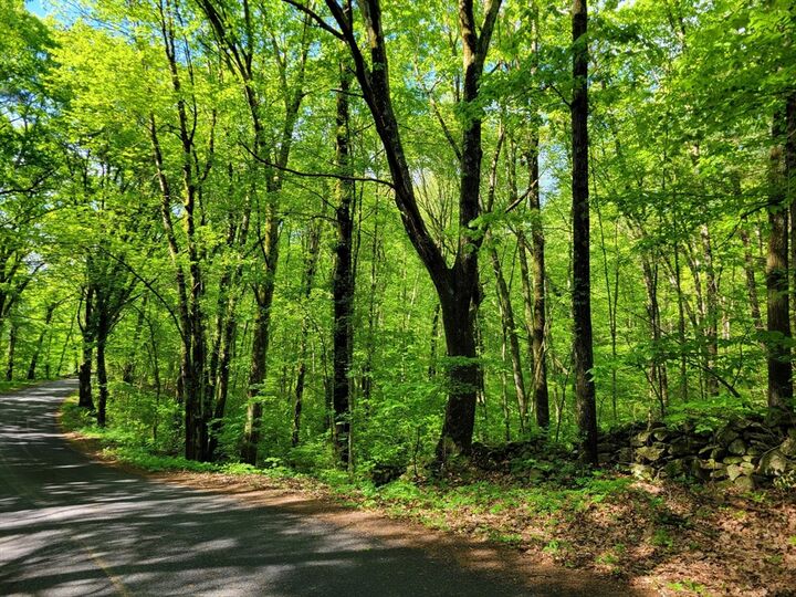 Property Photo:  Lot 8 Daniels Rd  MA 01507 