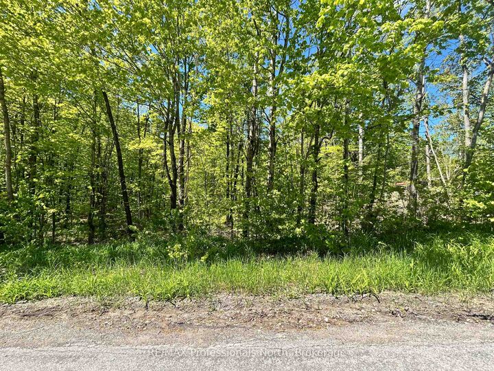 57 O'Brien Street — photo 1